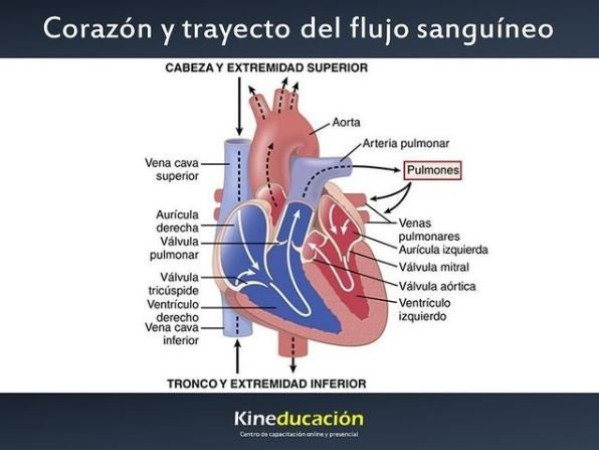 Imagen 2