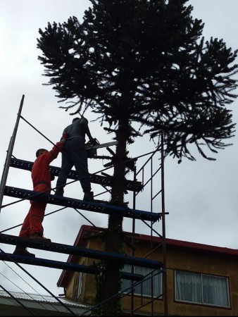 Imagen 4 de servicio