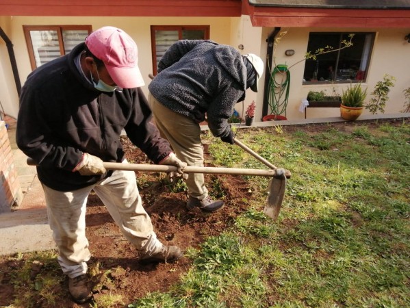 Imagen 10 de servicio