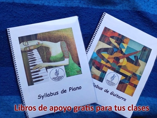 Imagen 8 de servicio