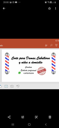 Imagen 45 de servicio
