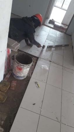 Imagen 46 de servicio