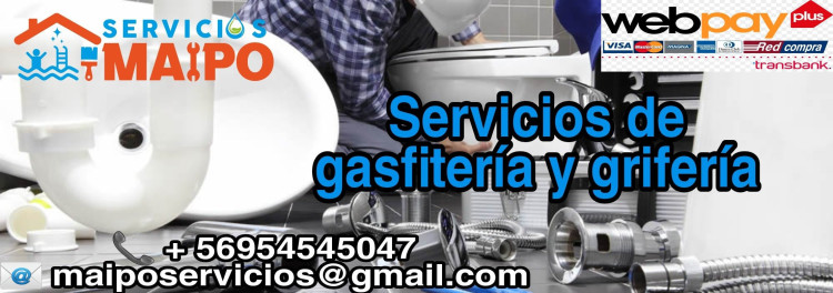 Imagen 8 de servicio