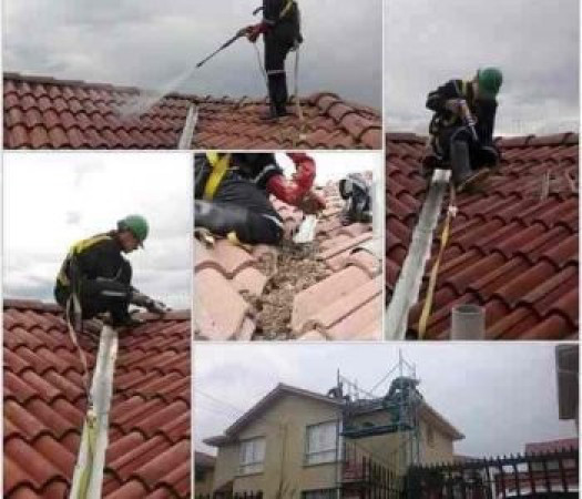 Imagen 14 de servicio