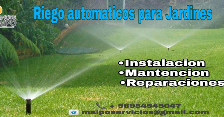 Imagen 15 de servicio