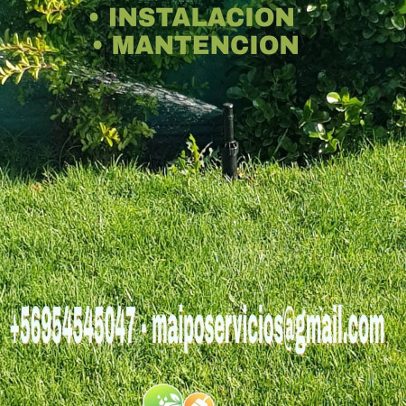Imagen 16 de servicio
