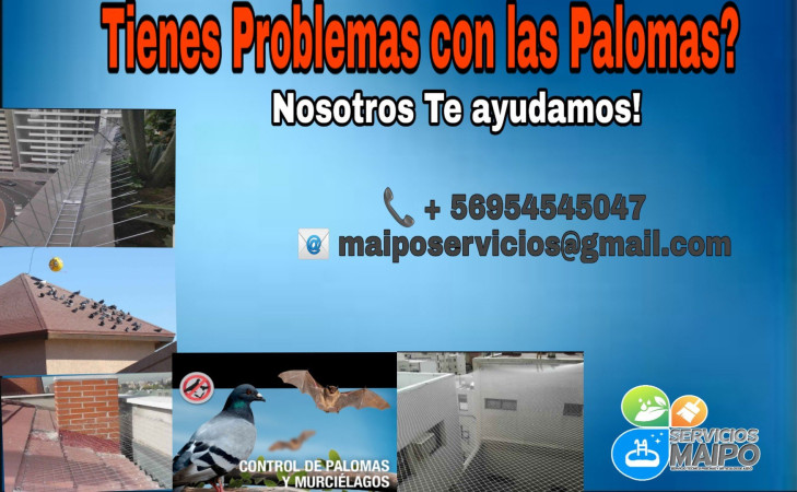 Imagen 17 de servicio