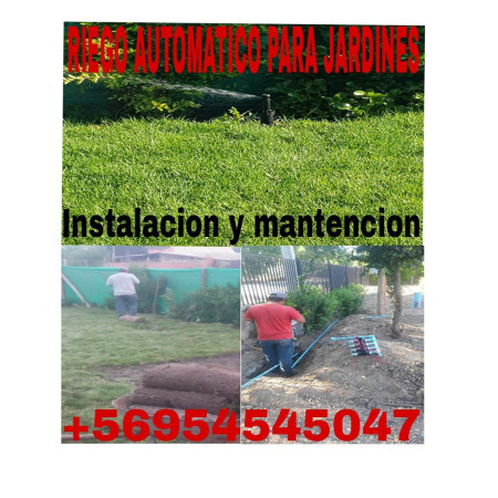 Imagen 22 de servicio