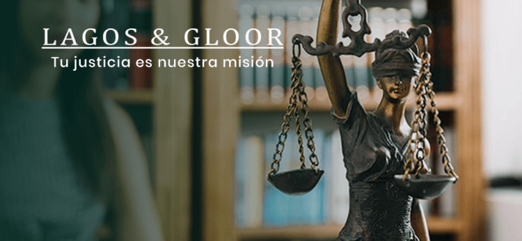 Imagen 8 de servicio