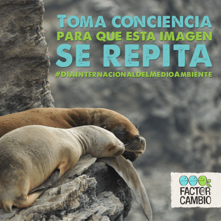 Imagen 0
