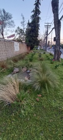 Imagen 6 de servicio