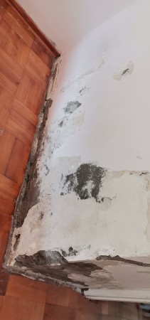 Imagen 90 de servicio
