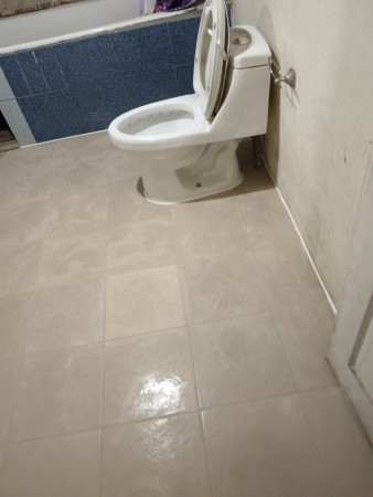 Imagen 181 de servicio