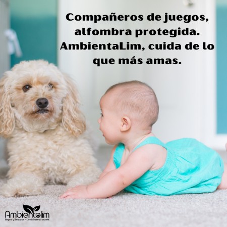 Imagen 5 de servicio