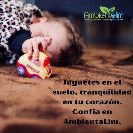 Imagen 9 de servicio