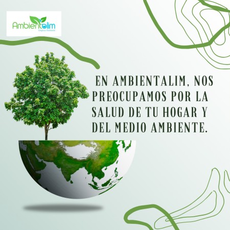 Imagen 13 de servicio