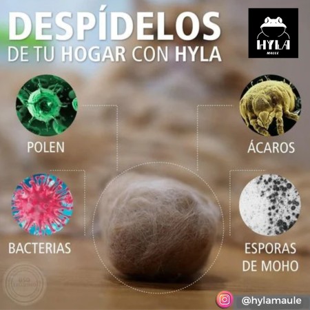 Imagen 14 de servicio
