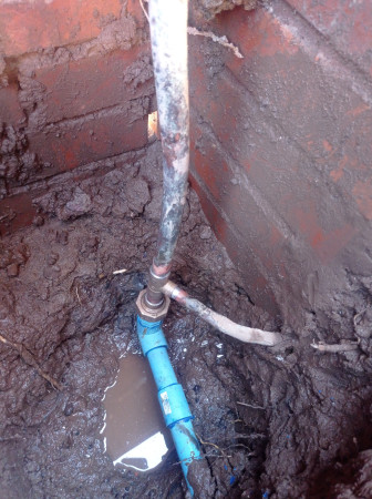 Imagen 4 de servicio