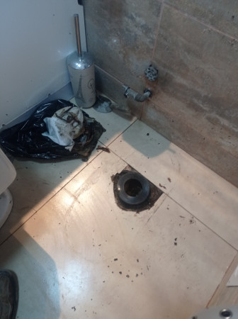 Imagen 5 de servicio