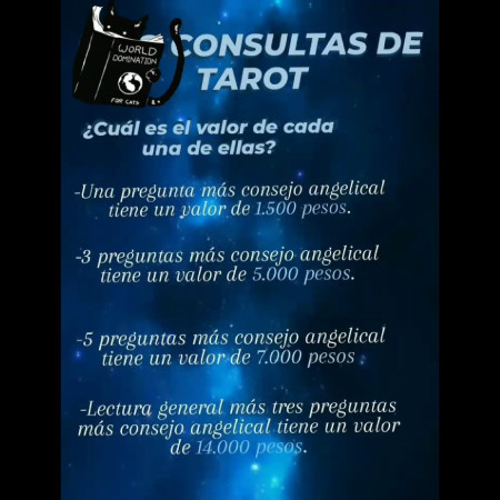 Imagen 5 de servicio