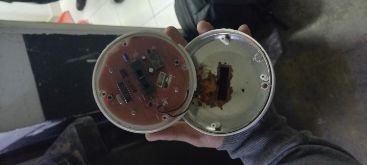 Imagen 8 de servicio