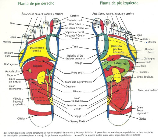 Imagen 3 de servicio