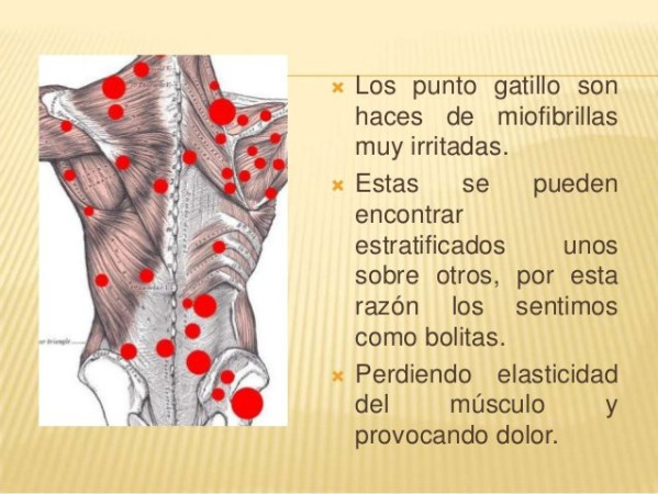 Imagen 4 de servicio