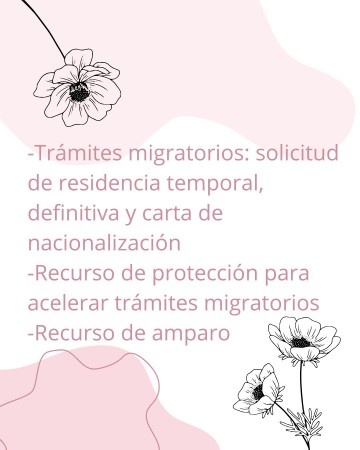 Imagen 4 de servicio