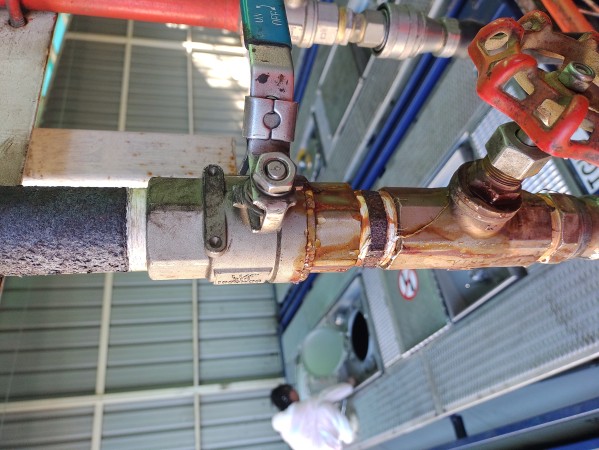 Imagen 10 de servicio