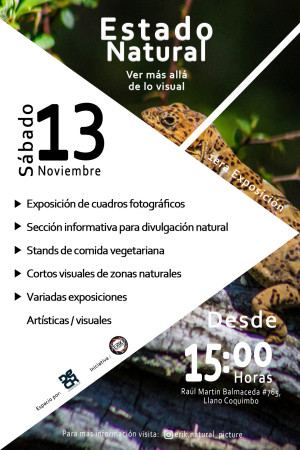 Imagen 5 de servicio