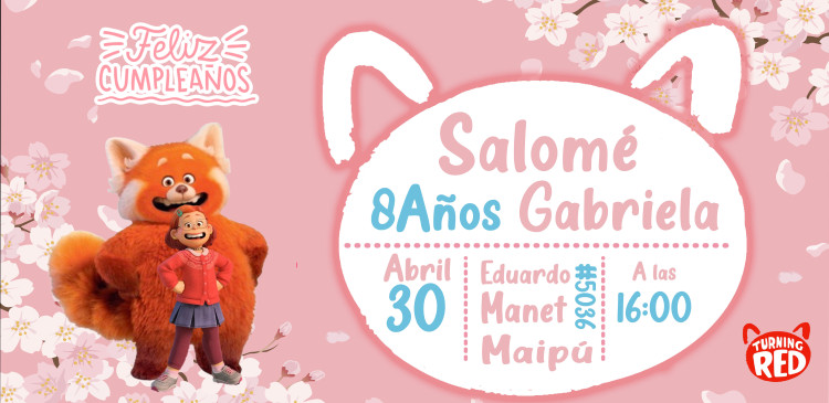 Imagen 8 de servicio