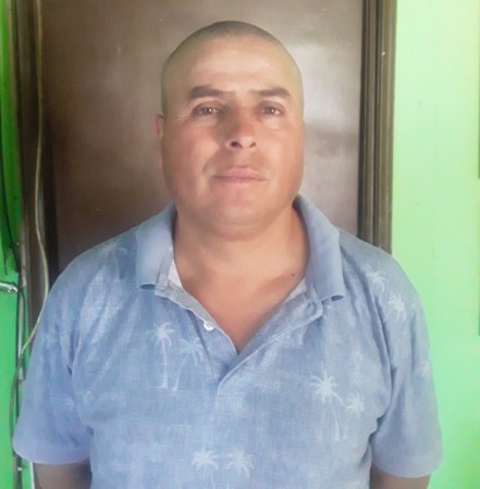 Imagen 0