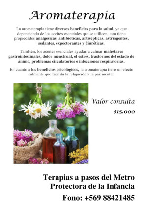 Imagen 9 de servicio