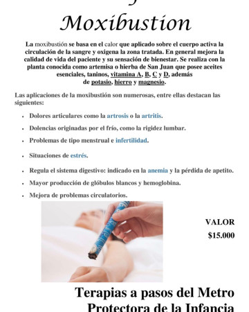 Imagen 10 de servicio