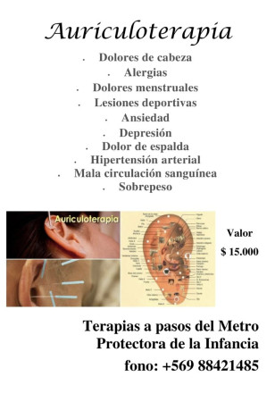 Imagen 11 de servicio