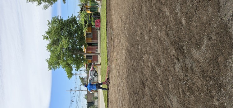 Imagen 4 de servicio