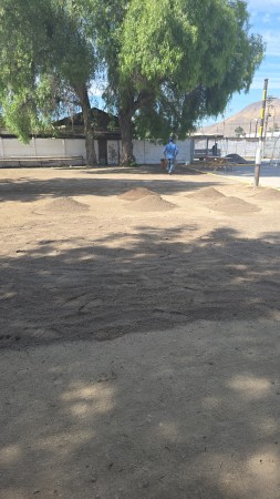 Imagen 5 de servicio