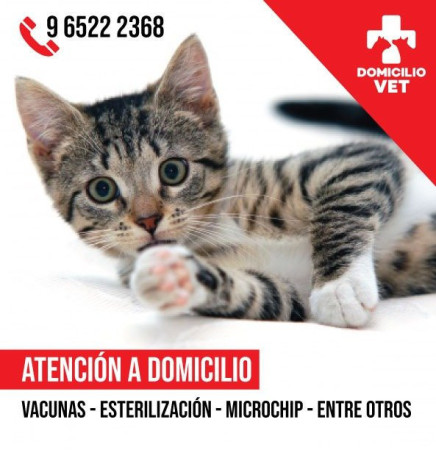 Imagen 0