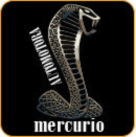 Imagen 10 de servicio