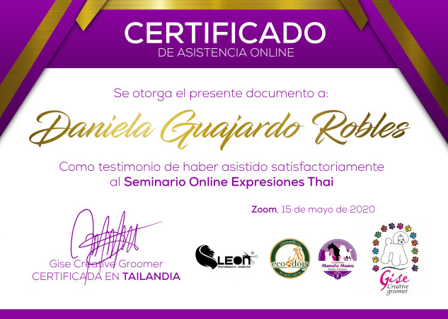Imagen 3 de servicio