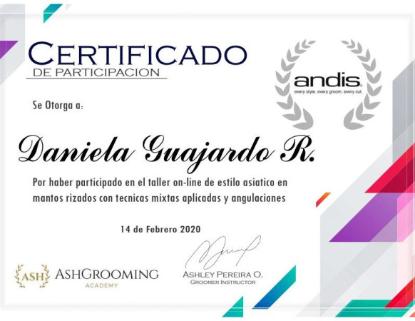 Imagen 4 de servicio