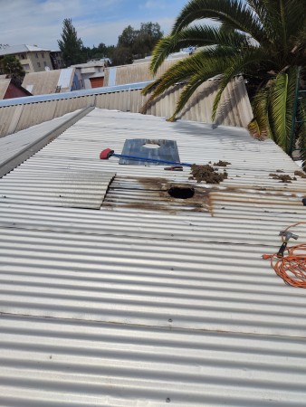 Imagen 53 de servicio