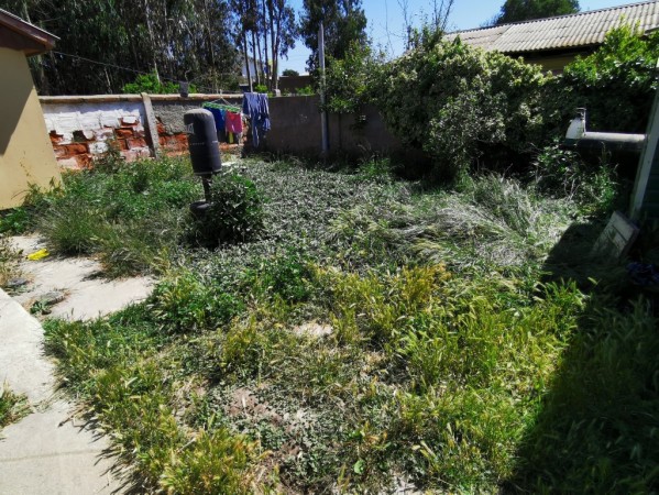 Imagen 32 de servicio