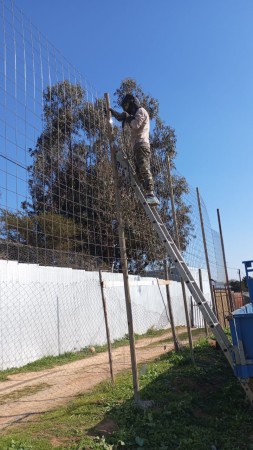 Imagen 47 de servicio