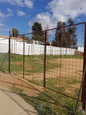 Imagen 49 de servicio
