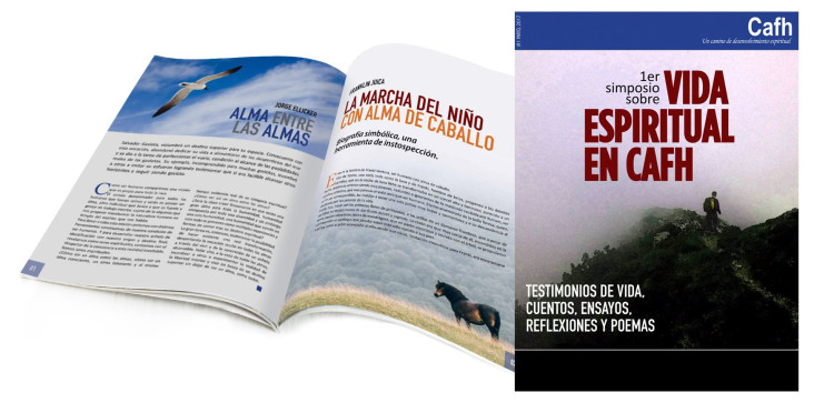 Imagen 22 de servicio