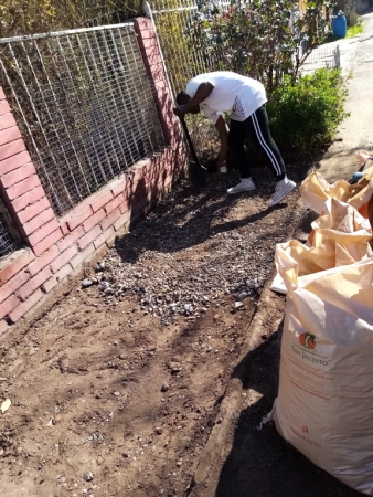 Imagen 33 de servicio