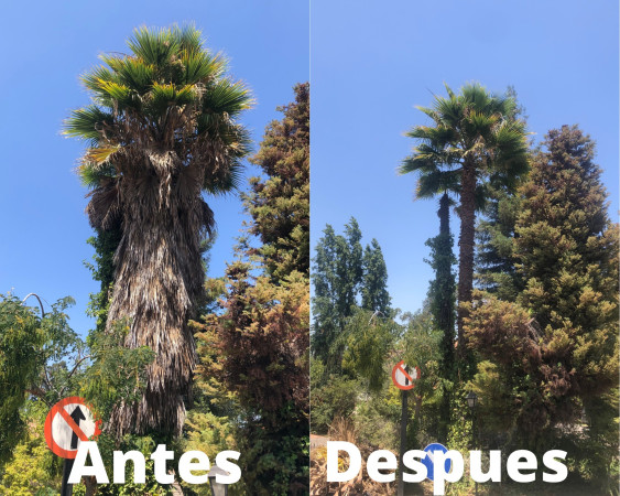 Imagen 4 de servicio