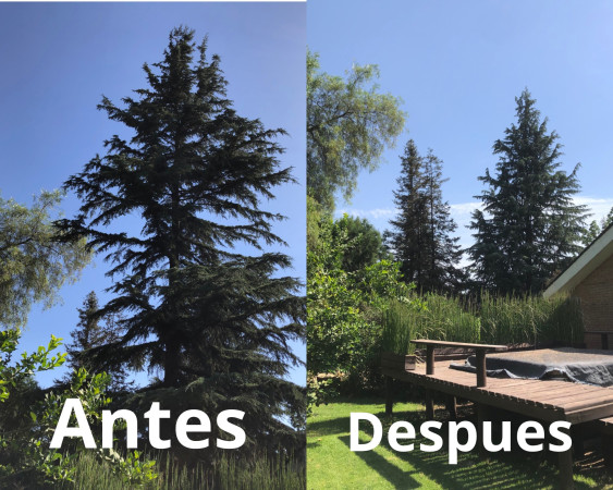 Imagen 6 de servicio