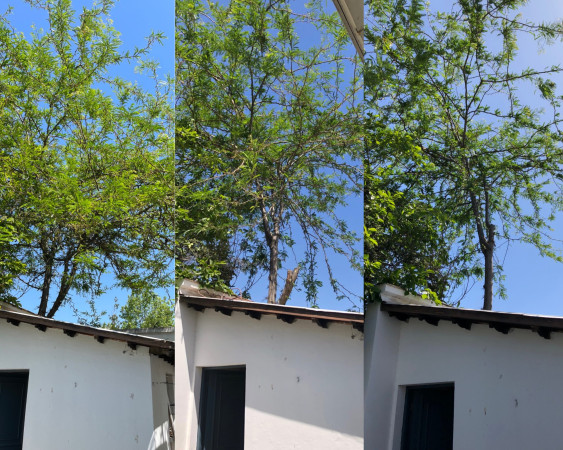 Imagen 10 de servicio